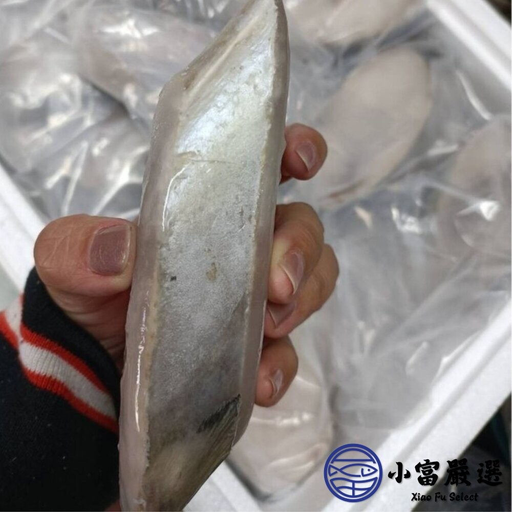 【小富嚴選】土魠魚片 (多規格)土魠魚輪切 輪切中段 香煎 魚刺少 深海魚 家常魚料理-細節圖5