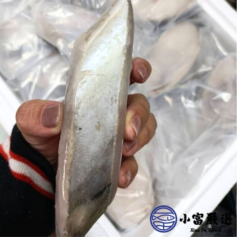 【小富嚴選】土魠魚片 (多規格)土魠魚輪切 輪切中段 香煎 魚刺少 深海魚 家常魚料理-細節圖3