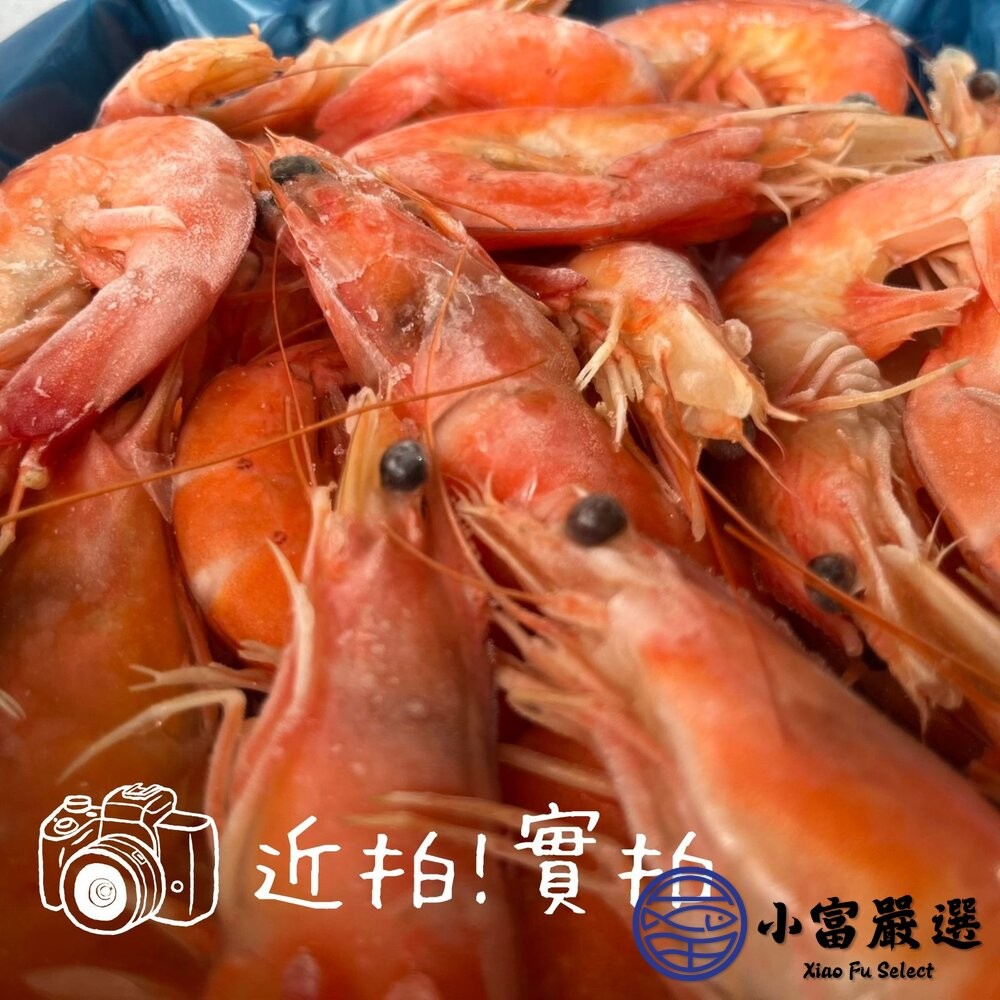 【小富嚴選】熟白蝦 熟凍白蝦 急凍白蝦 (多規格選擇) 蝦子 草蝦 生白蝦 烤蝦 火鍋 新鮮蝦子-細節圖3