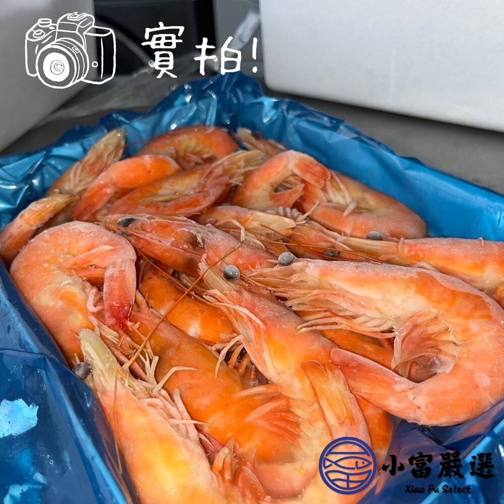 【小富嚴選】熟白蝦 熟凍白蝦 急凍白蝦 (多規格選擇) 蝦子 草蝦 生白蝦 烤蝦 火鍋 新鮮蝦子-細節圖4