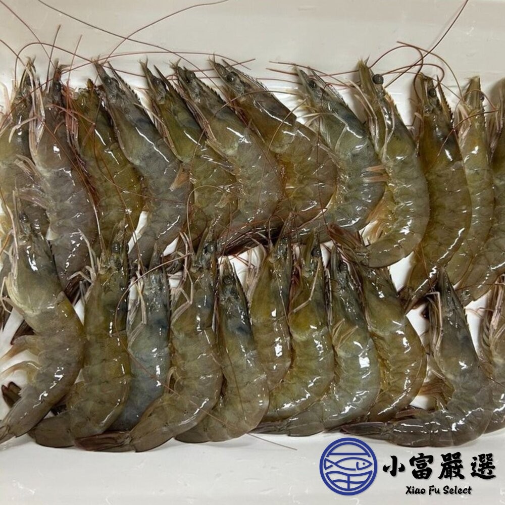 【小富嚴選】嚴選精選高品質白蝦 鮮甜美味 活凍白蝦 。(重量750g~850g/多種規格大小) 火鍋海鮮 草蝦 天使紅蝦-細節圖6