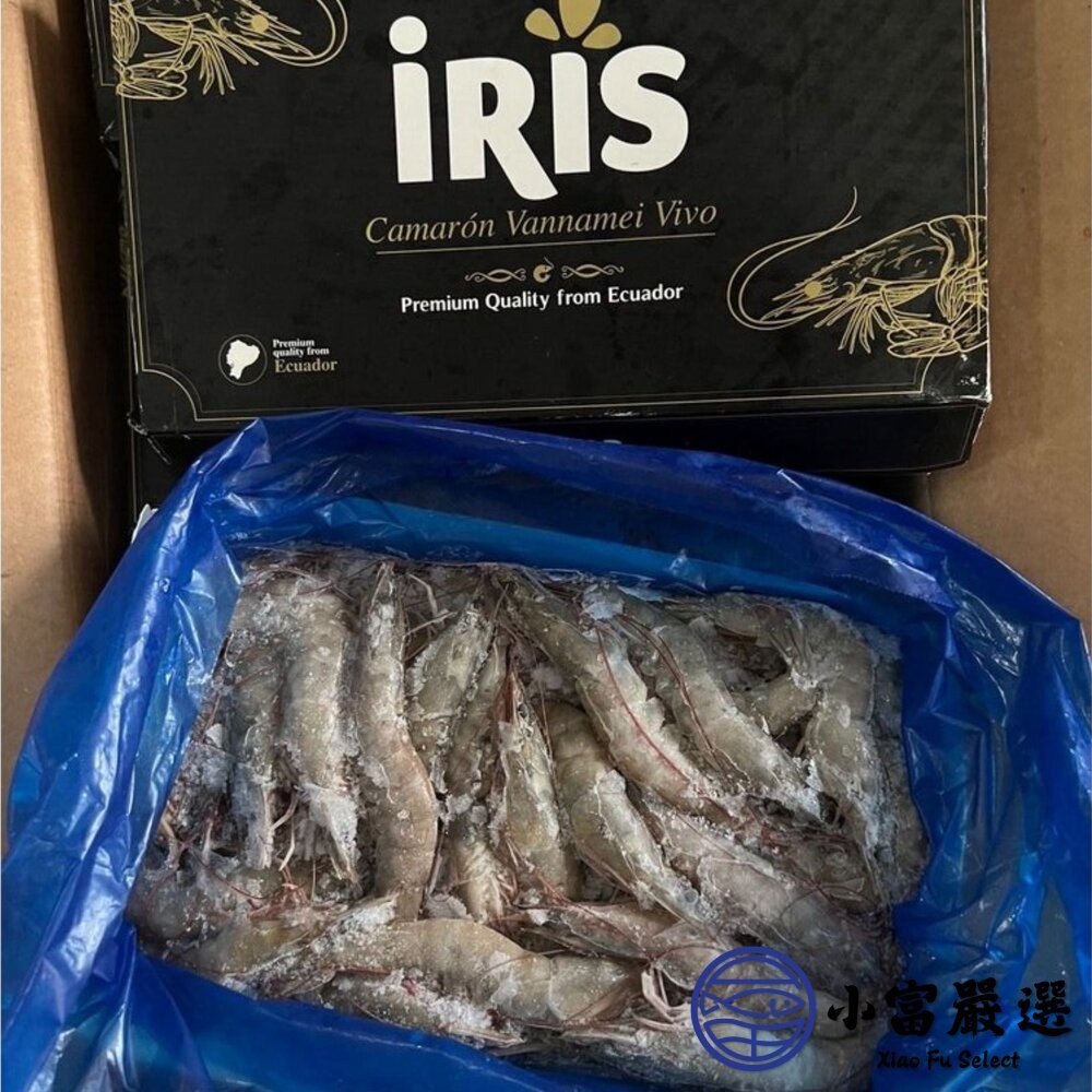 【小富嚴選】嚴選精選高品質白蝦 鮮甜美味 活凍白蝦 (重量750g~850g/多種規格大小) 火鍋海鮮 草蝦 天使紅蝦-細節圖3