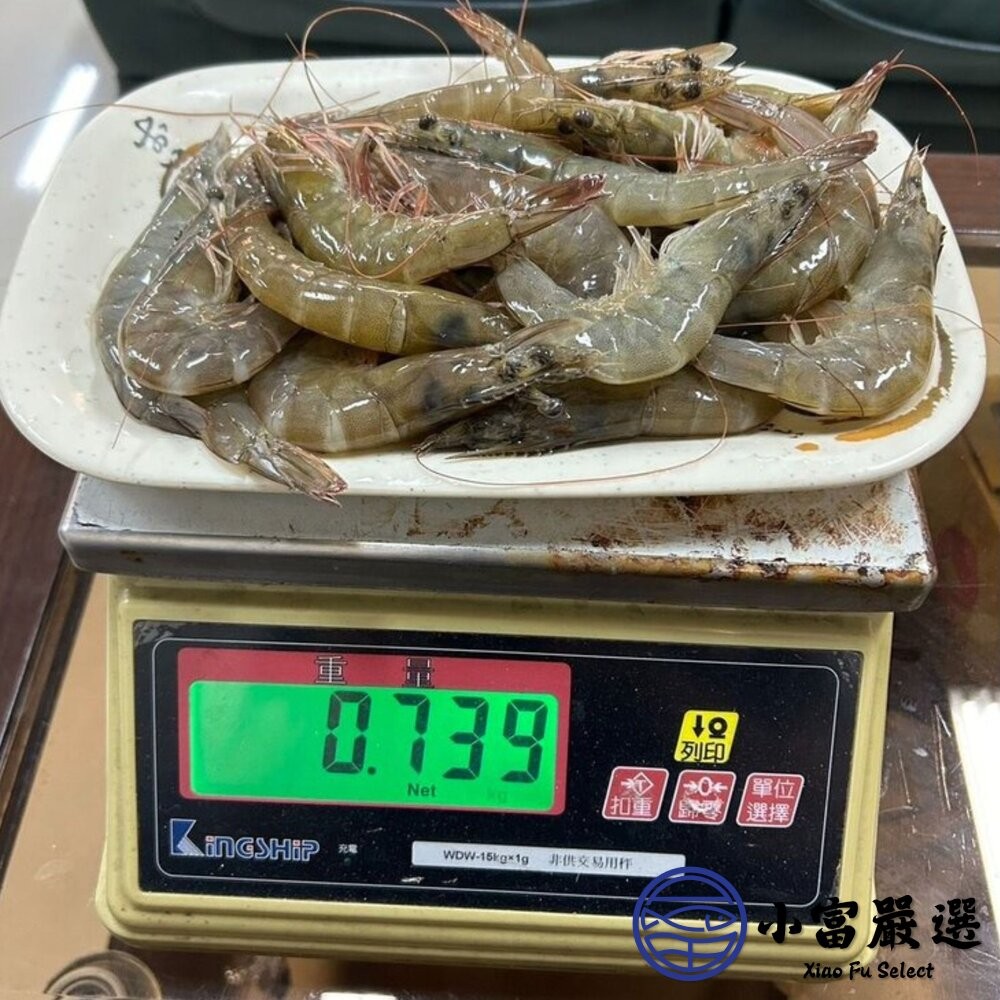 【小富嚴選】嚴選精選高品質白蝦 鮮甜美味 活凍白蝦 (重量750g~850g/多種規格大小) 火鍋海鮮 草蝦 天使紅蝦-細節圖8