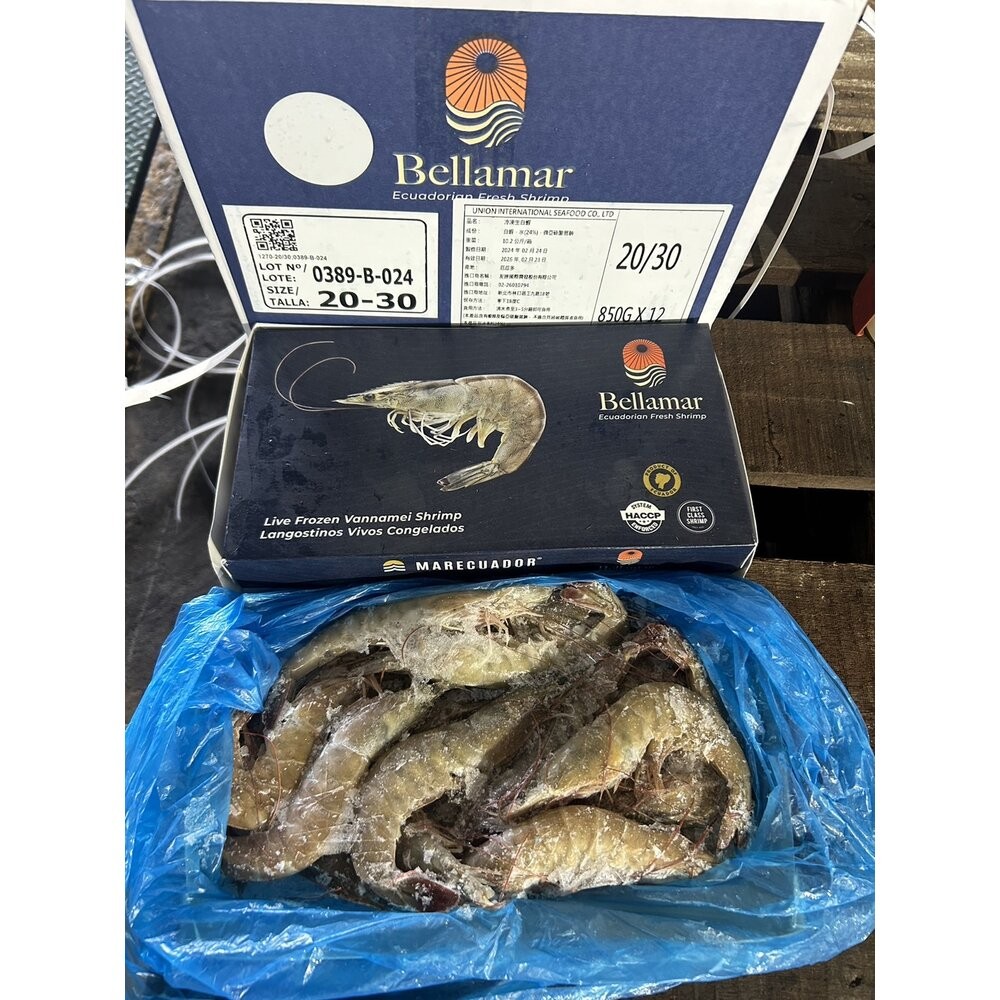 【小富嚴選】嚴選精選高品質白蝦 鮮甜美味 活凍白蝦 。(重量750g~850g/多種規格大小) 火鍋海鮮 草蝦 天使紅蝦-規格圖8