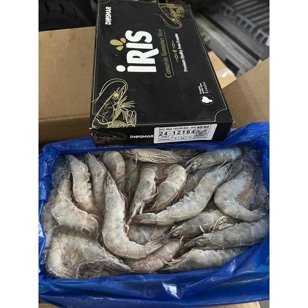 【小富嚴選】嚴選精選高品質白蝦 鮮甜美味 活凍白蝦 。(重量750g~850g/多種規格大小) 火鍋海鮮 草蝦 天使紅蝦-規格圖8