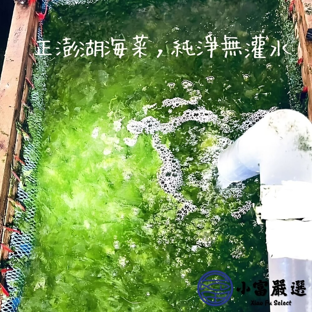 【小富嚴選】澎湖海菜 野生海菜 澎湖野生海菜 (300g/包)(有一定的涵水率購買前詳細看) 炒海菜 海菜湯 涼拌-細節圖3