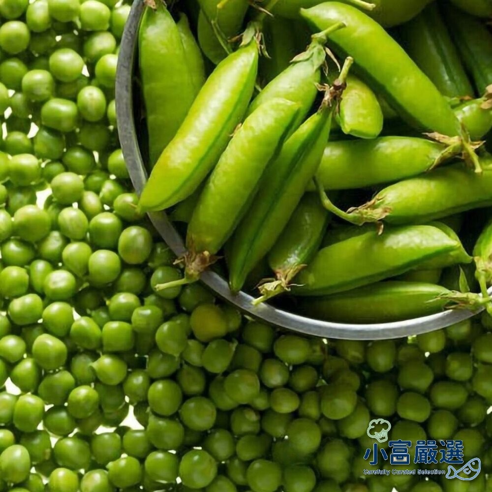 【小富嚴選】冷凍青豆 青豆仁 冷凍青豆仁 鮮凍青豆仁 (1000g/包) 三色豆 炒飯 煮湯 快炒店-細節圖6