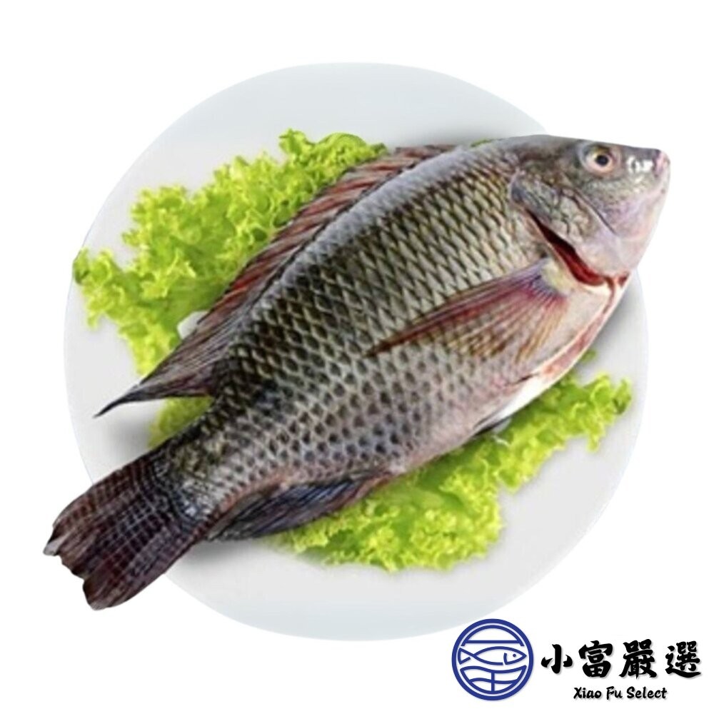 【小富嚴選】台灣三去吳郭魚 台灣三去台灣鯛 重量500/600g 包10%保護冰 煎魚 烤魚 烤肉-細節圖2