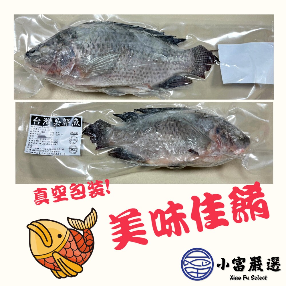 【小富嚴選】台灣三去吳郭魚 台灣三去台灣鯛 重量500/600g 包10%保護冰 煎魚 烤魚 烤肉-細節圖3