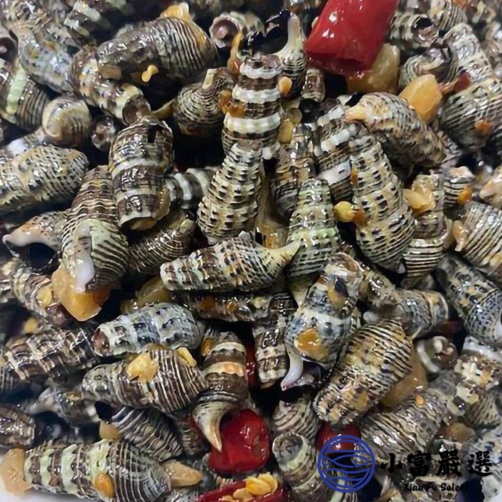 【小富嚴選】台灣野生燒酒螺 燒酒螺 燒酒螺 (500g/包) 下酒菜-細節圖3