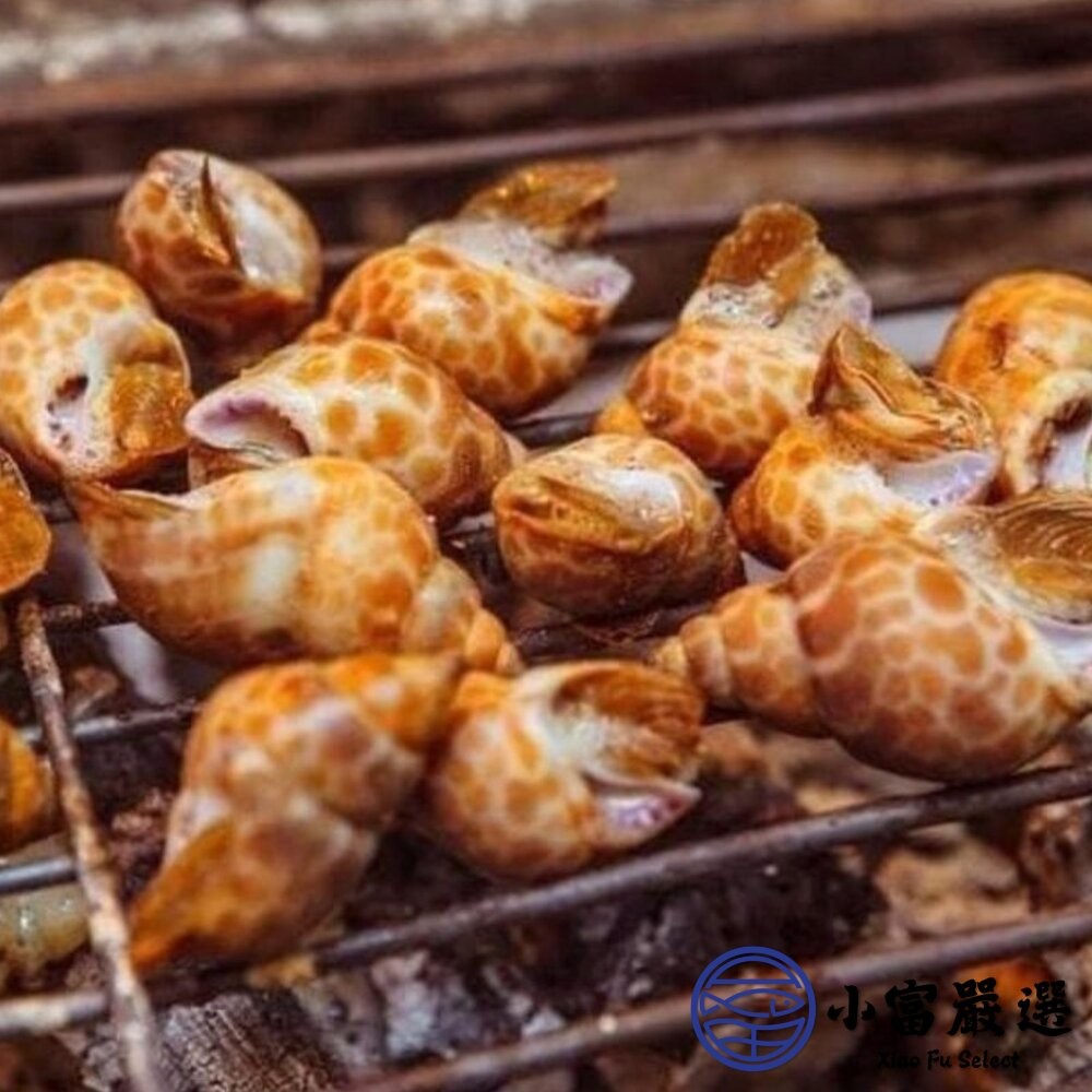 【小富嚴選】野生鳳螺粒 印度鳳螺 鳳螺 (2kg/包)最好規格50/80 下酒菜 海鮮控必吃 餐廳級美味-細節圖6