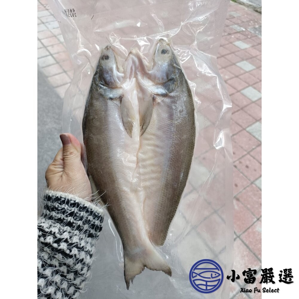 【小富嚴選】台灣午仔魚一夜干 大尾 一夜干 (200/250g)-細節圖6