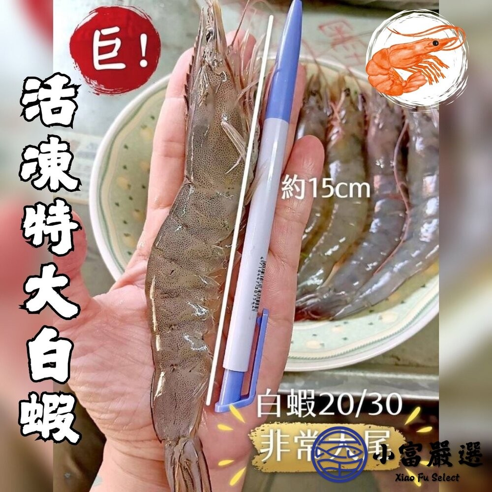 【小富嚴選】活凍白蝦 特大號 大白蝦 紅太陽生白蝦 20/30生白蝦 蝦子 白蝦(850g/盒) 紅太陽 紅太陽白蝦-細節圖2