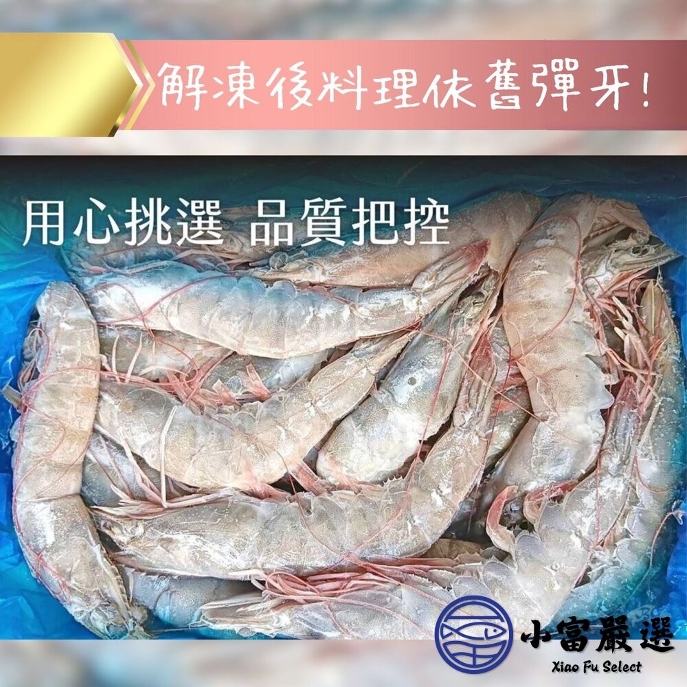 【小富嚴選】活凍白蝦 特大號 大白蝦 紅太陽生白蝦 20/30生白蝦 蝦子 白蝦(850g/盒) 紅太陽 紅太陽白蝦-細節圖4