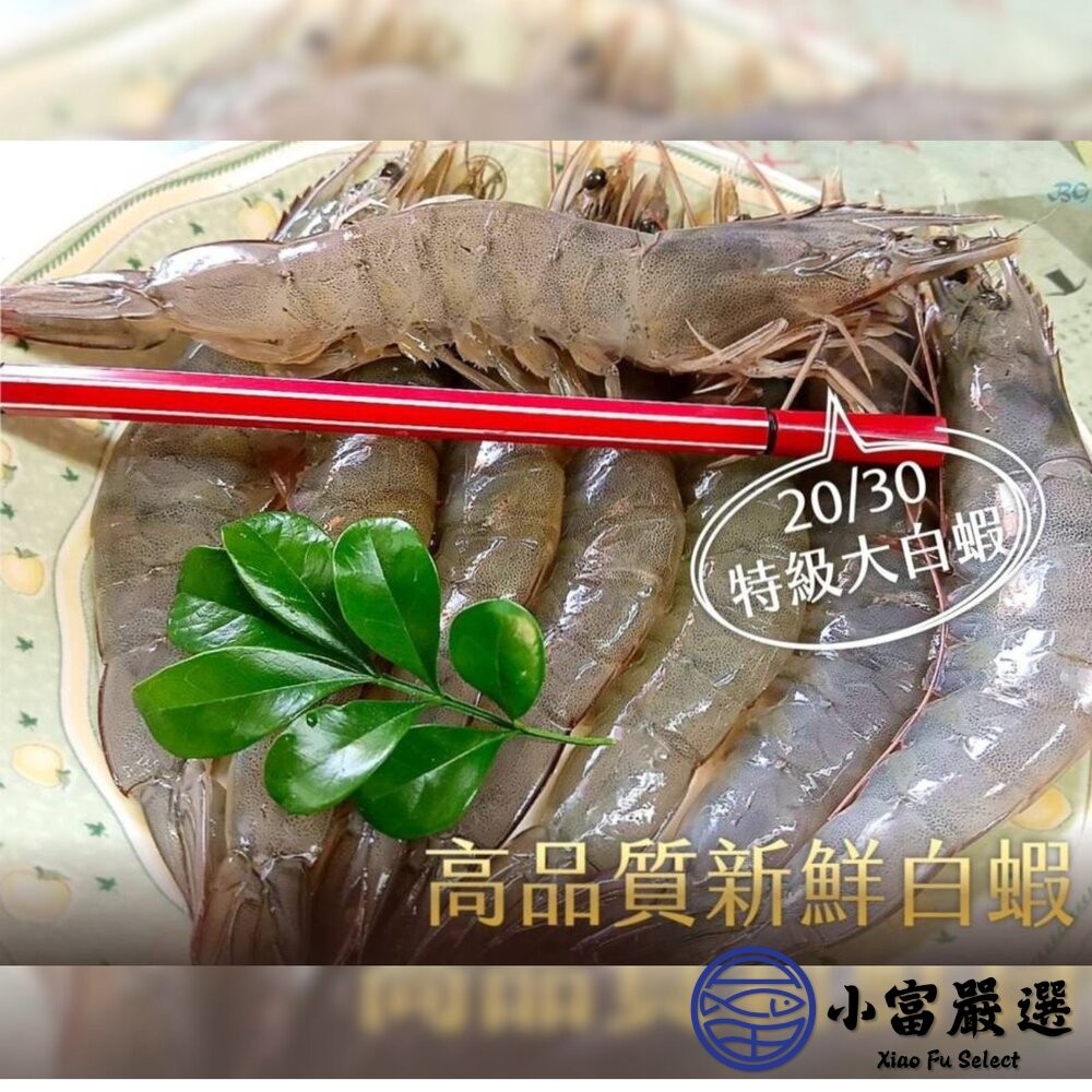 【小富嚴選】活凍白蝦 特大號 大白蝦 紅太陽生白蝦 20/30生白蝦 蝦子 白蝦(850g/盒) 紅太陽 紅太陽白蝦-細節圖5