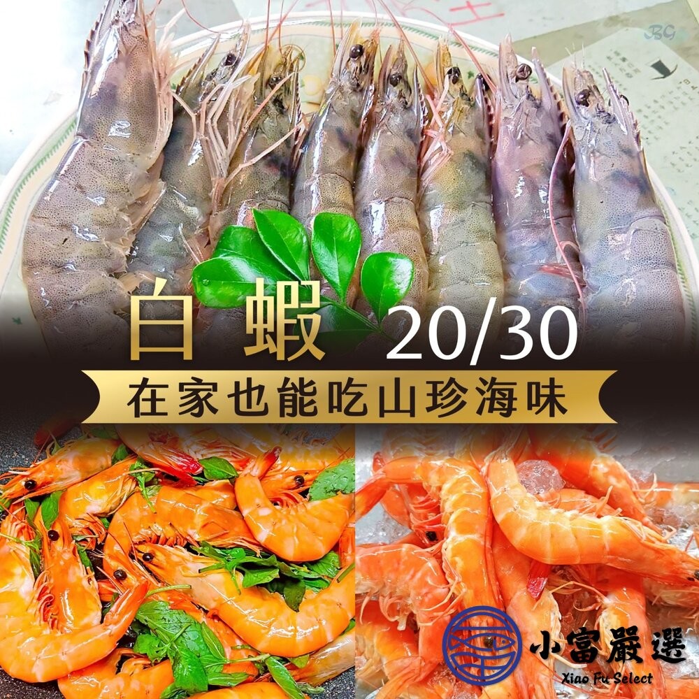 【小富嚴選】活凍白蝦 特大號 大白蝦 紅太陽生白蝦 20/30生白蝦 蝦子 白蝦(850g/盒) 紅太陽 紅太陽白蝦-細節圖6