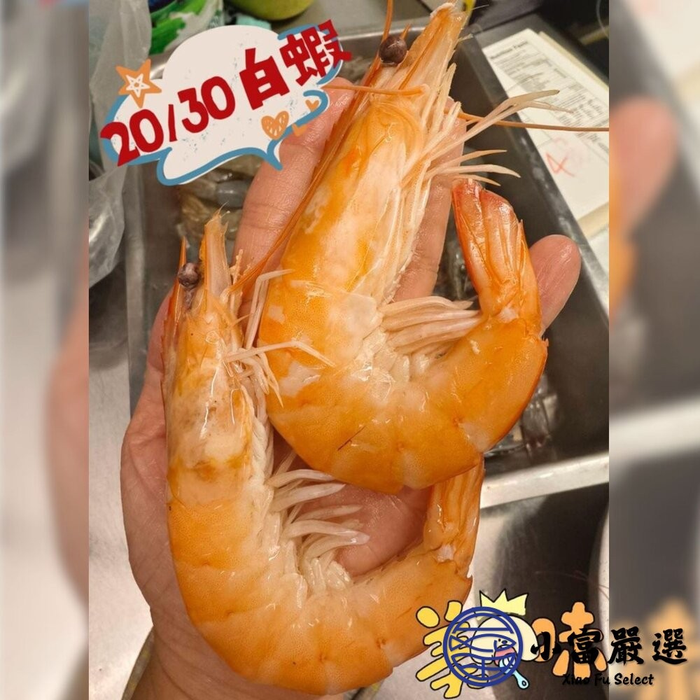 【小富嚴選】活凍白蝦 特大號 大白蝦 紅太陽生白蝦 20/30生白蝦 蝦子 白蝦(850g/盒) 紅太陽 紅太陽白蝦-細節圖7