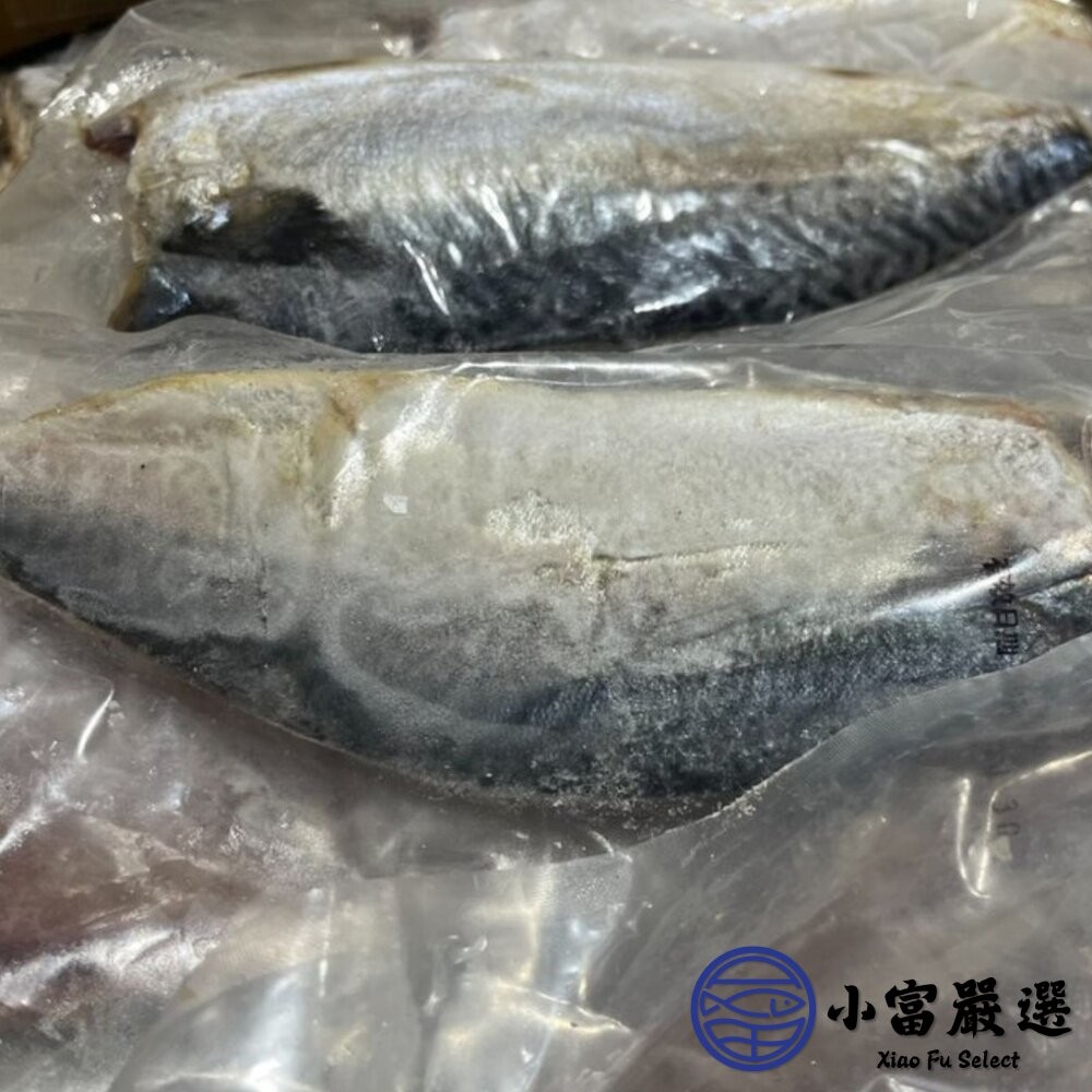 【小富嚴選】正台灣產 宜蘭鯖魚片 純重 鯖魚單片 真空包裝 (140g/片) 烤肉專用 中秋烤肉-細節圖4