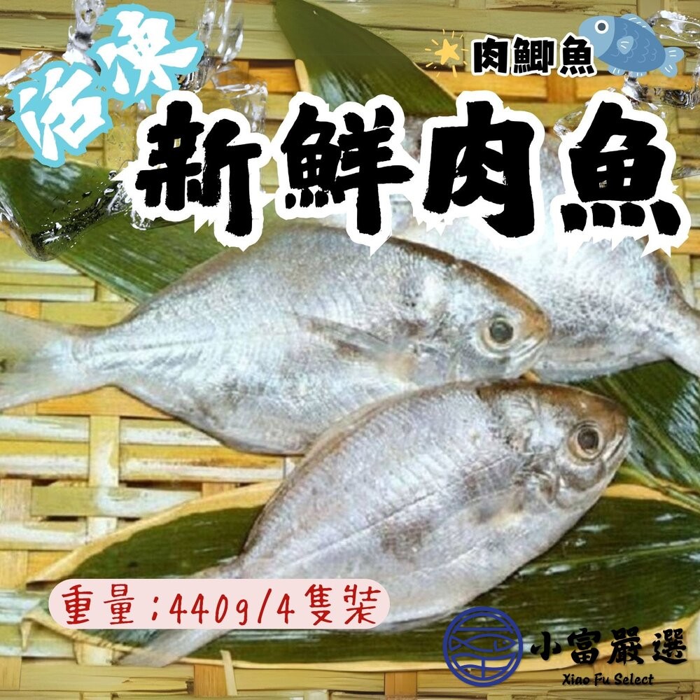 【小富嚴選】肉魚 肉鯧 肉鯽魚 肉好多活冷新鮮肉魚 (380g/4隻/包) 煎魚-細節圖3