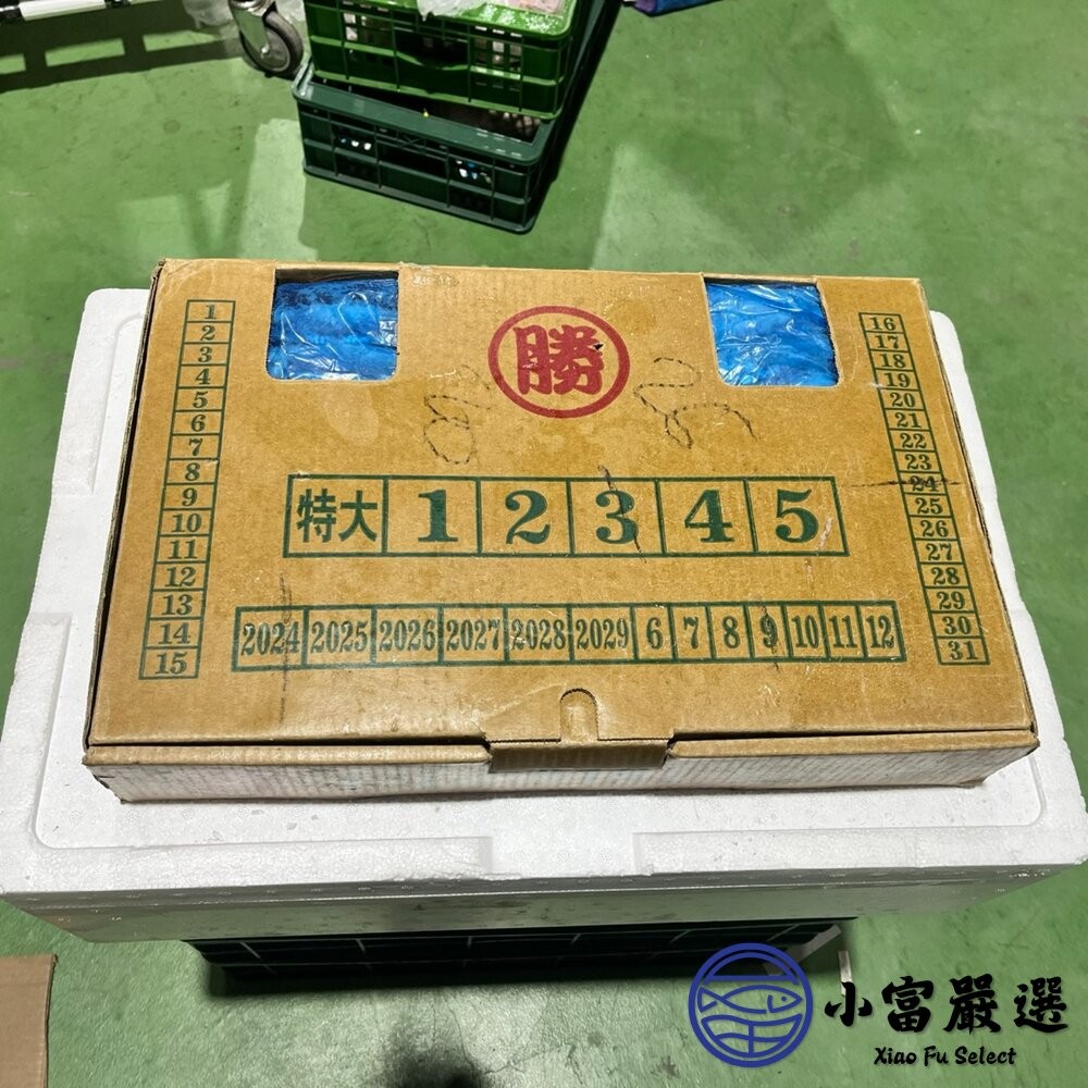 【小富嚴選】秋刀魚3號 烤秋刀魚 日本燒烤專用 (10公斤/箱) 鹽烤 燉煮 乾煎-細節圖4