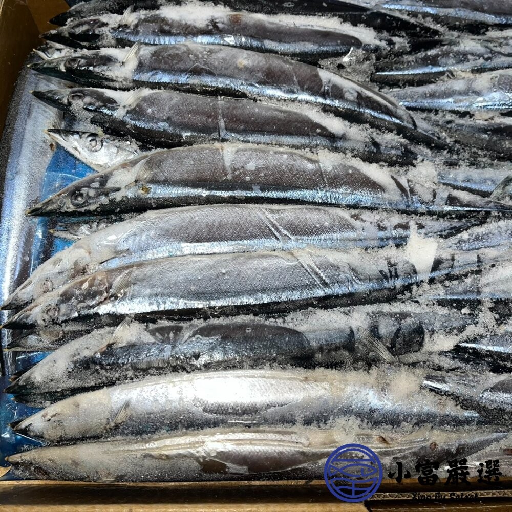 【小富嚴選】秋刀魚 2號/3號 烤秋刀魚 日本燒烤專用 (10公斤/箱) 鹽烤 燉煮 乾煎-細節圖7