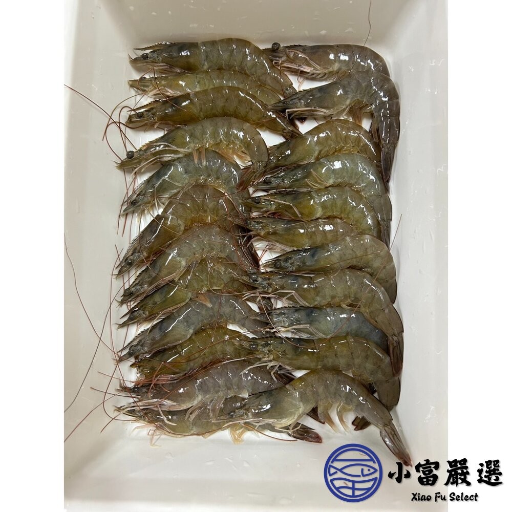 【小富嚴選】厄瓜多活凍白蝦 規格20/30 標重850g/實重730g 好吃彈牙 鮮凍白蝦 海產 低脂高蛋白 熱炒 清蒸-細節圖2