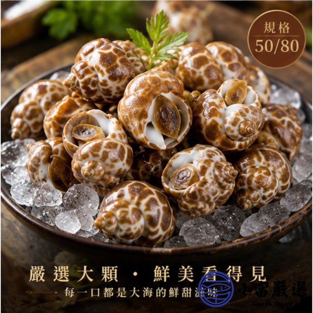【小富嚴選】野生鳳螺粒 印度鳳螺 鳳螺 冷凍鳳螺 (500g/包) 鹽烤 胡椒煮 涼拌-細節圖5
