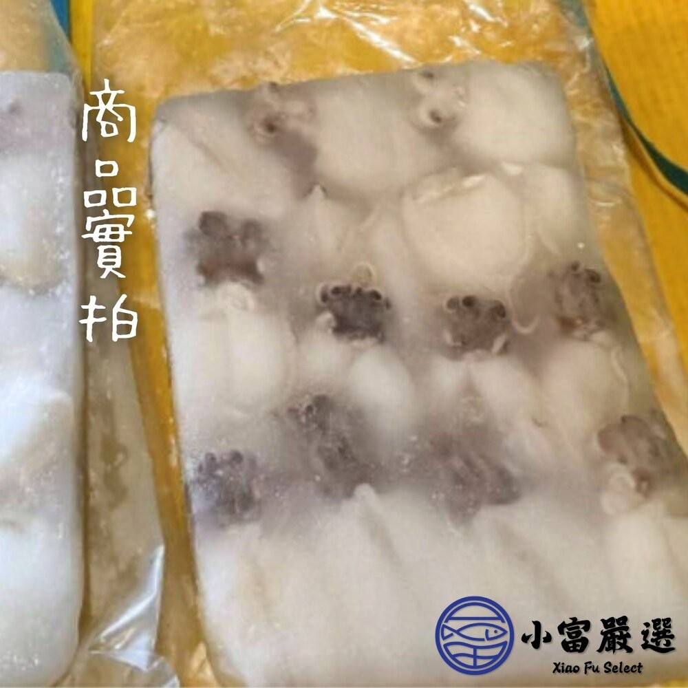【小富嚴選】小花枝(約14隻/300g)鮮凍小花枝 冷凍花枝 小花枝仔 冷盤 熱炒 煮湯 炸物-細節圖3