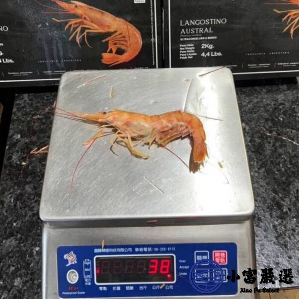 【小富嚴選】【小富嚴選】阿根廷天使紅蝦2L 鮮凍紅蝦 。(約53尾上下/2000g/盒) 冷凍紅蝦 聚餐首選 燒烤 鹽烤-細節圖8