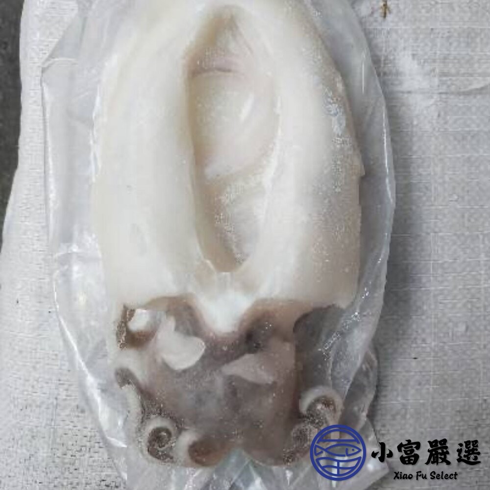 【小富嚴選】鮮甜野生急凍二去花枝 200/300、300/400、400/500、500/600 四種規格 特價中 (2-細節圖2