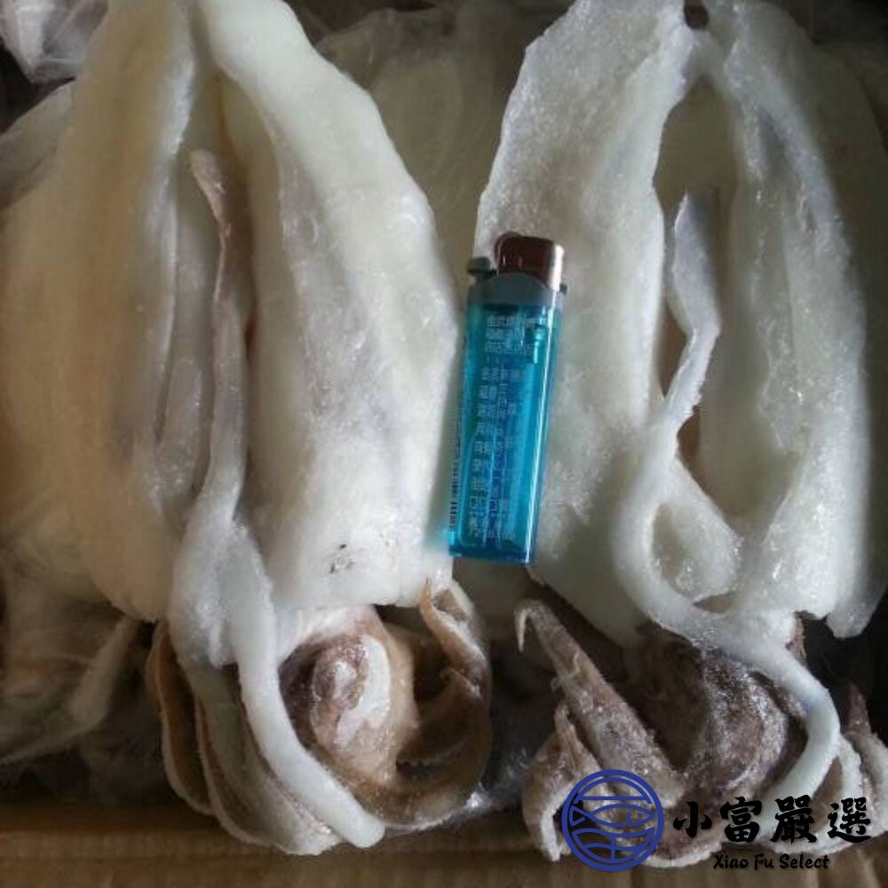 【小富嚴選】鮮甜野生急凍二去花枝 200/300、300/400、400/500、500/600 四種規格 特價中 (2-細節圖3