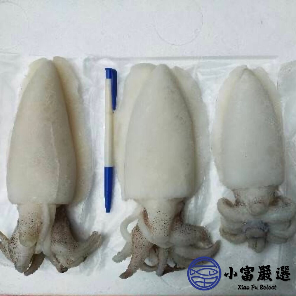 【小富嚴選】鮮甜野生急凍二去花枝 200/300、300/400、400/500、500/600 四種規格 特價中 (2-細節圖5