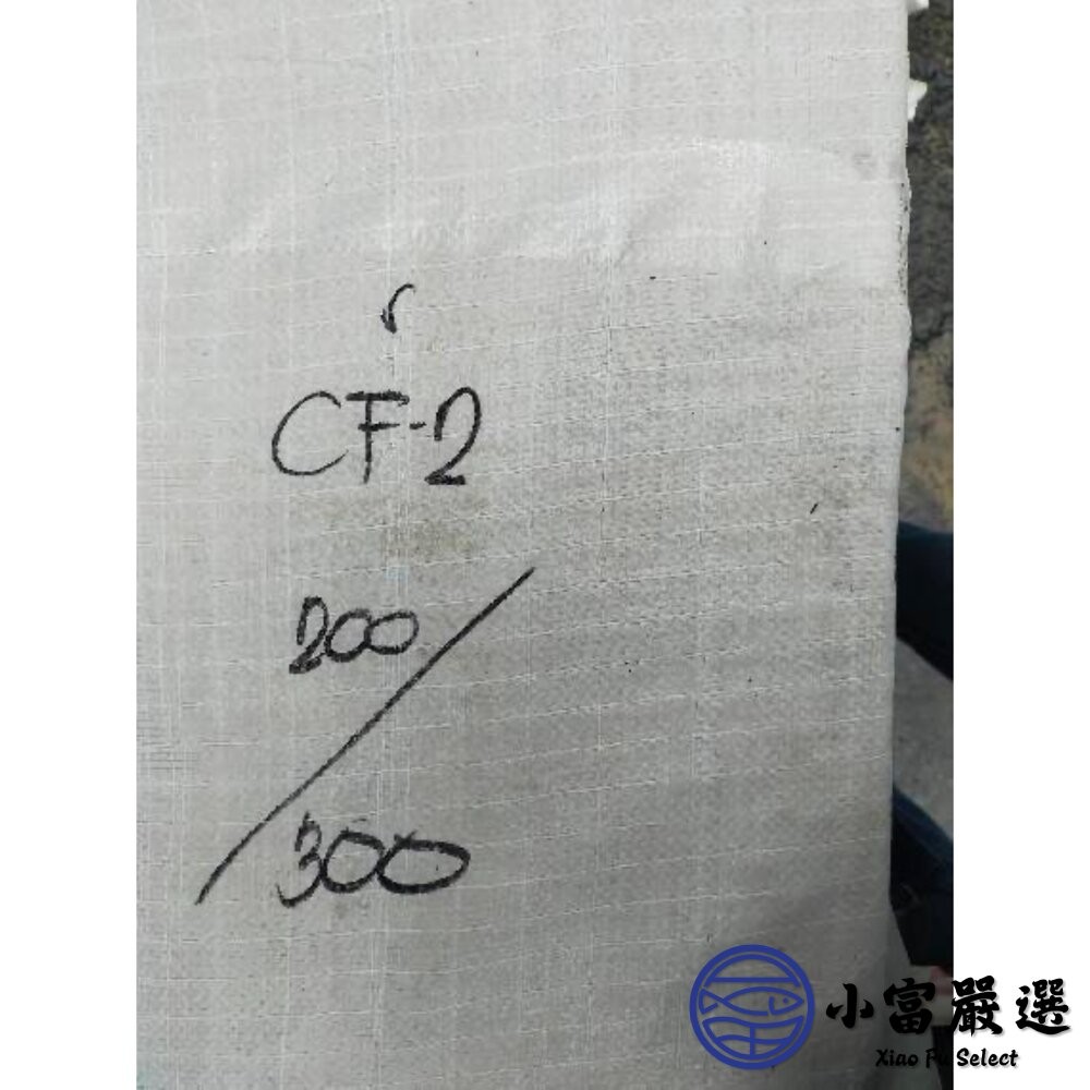 【小富嚴選】鮮甜野生急凍二去花枝 200/300、300/400、400/500、500/600 四種規格 特價中 (2-細節圖7