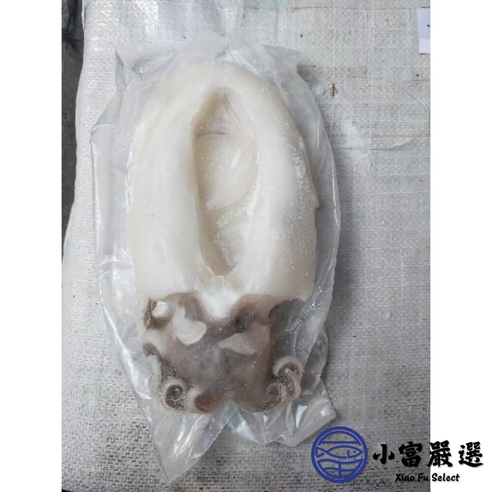 【小富嚴選】鮮甜野生急凍二去花枝 200/300、300/400、400/500、500/600 四種規格 特價中 (2-細節圖8