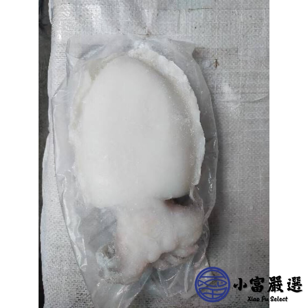 【小富嚴選】鮮甜野生急凍二去花枝 200/300、300/400、400/500、500/600 四種規格 特價中 (2-細節圖9