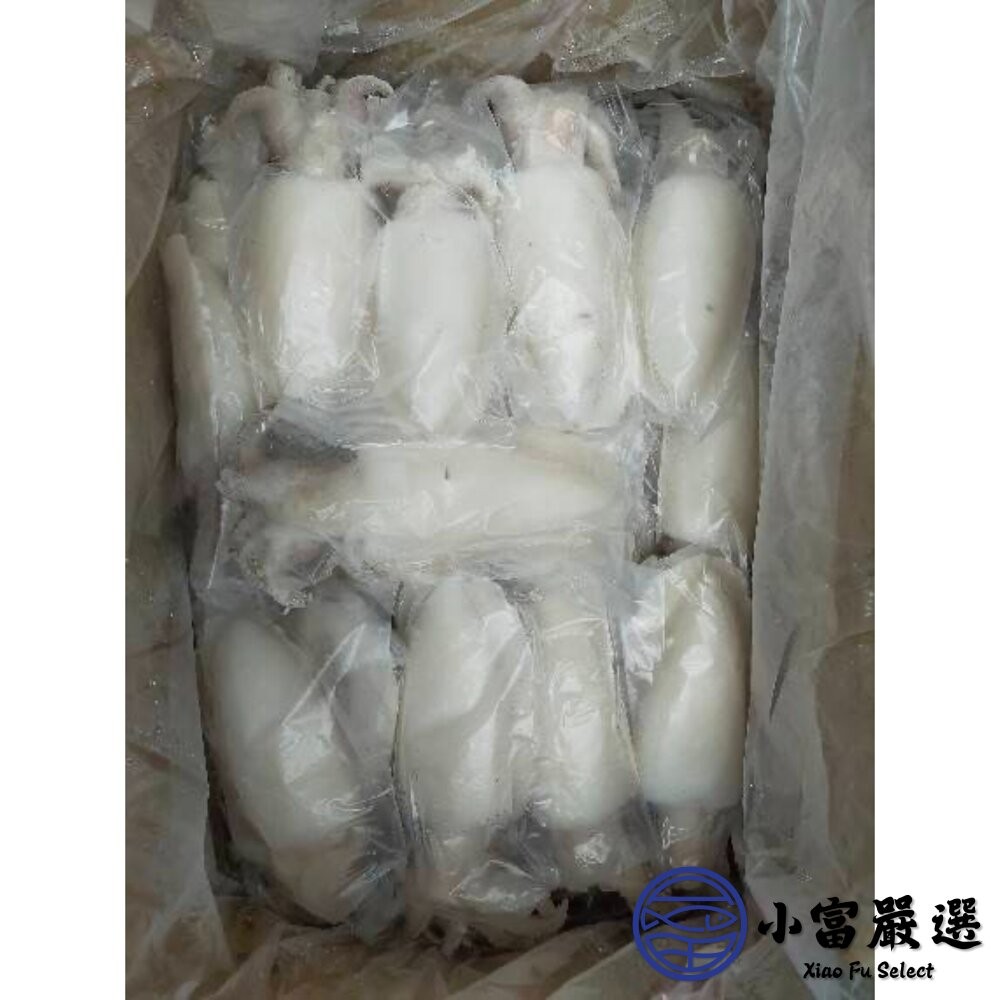 【小富嚴選】鮮甜野生急凍二去花枝 200/300、300/400、400/500、500/600 四種規格 特價中 (2-細節圖10