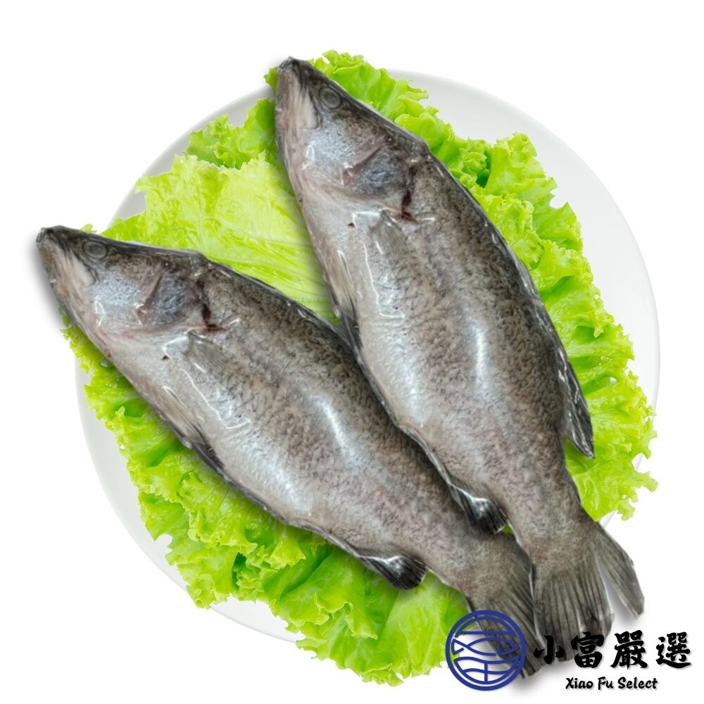 【小富嚴選】本產東石大金目鱸魚300-400g/尾(三去) 金目鱸魚 鱸魚清肉 火鍋魚片-細節圖2
