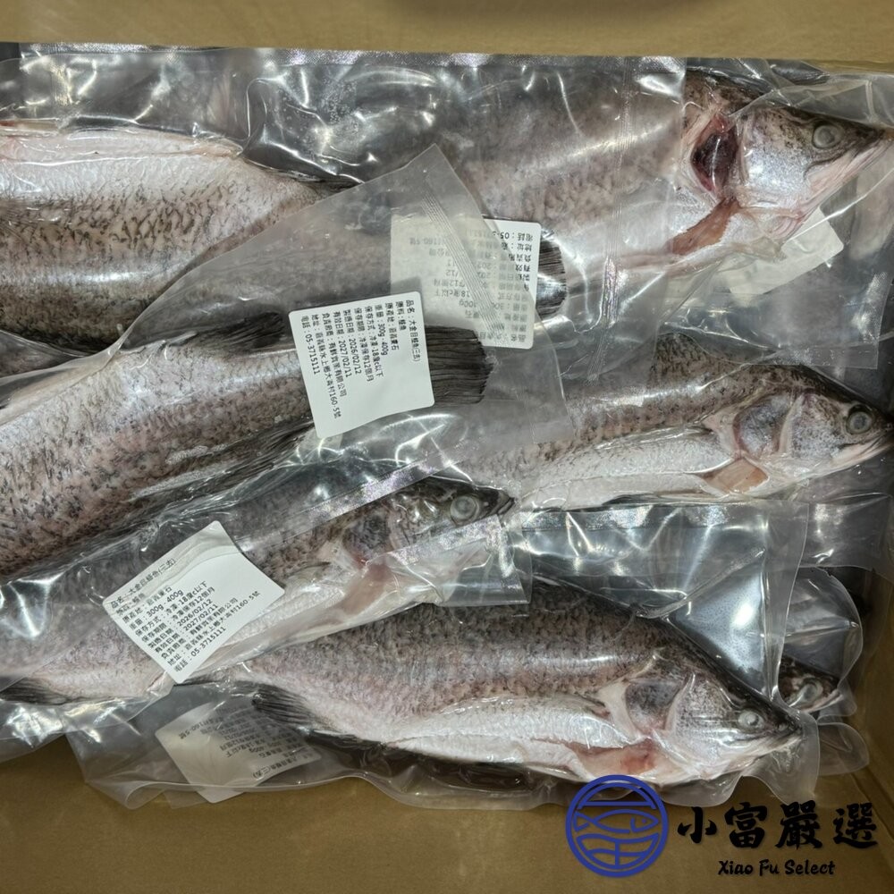 【小富嚴選】本產東石大金目鱸魚300-400g/尾(三去) 金目鱸魚 鱸魚清肉 火鍋魚片-細節圖3