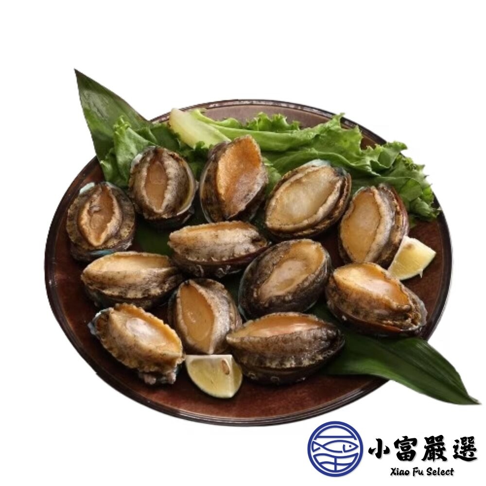 【小富嚴選】頂級帶殼鮑魚 有殼鮑魚 半殼鮑魚 帶殼鮑魚 (300g/包) 帶殼小鮑魚 冷盤 宴客 餐廳-細節圖2