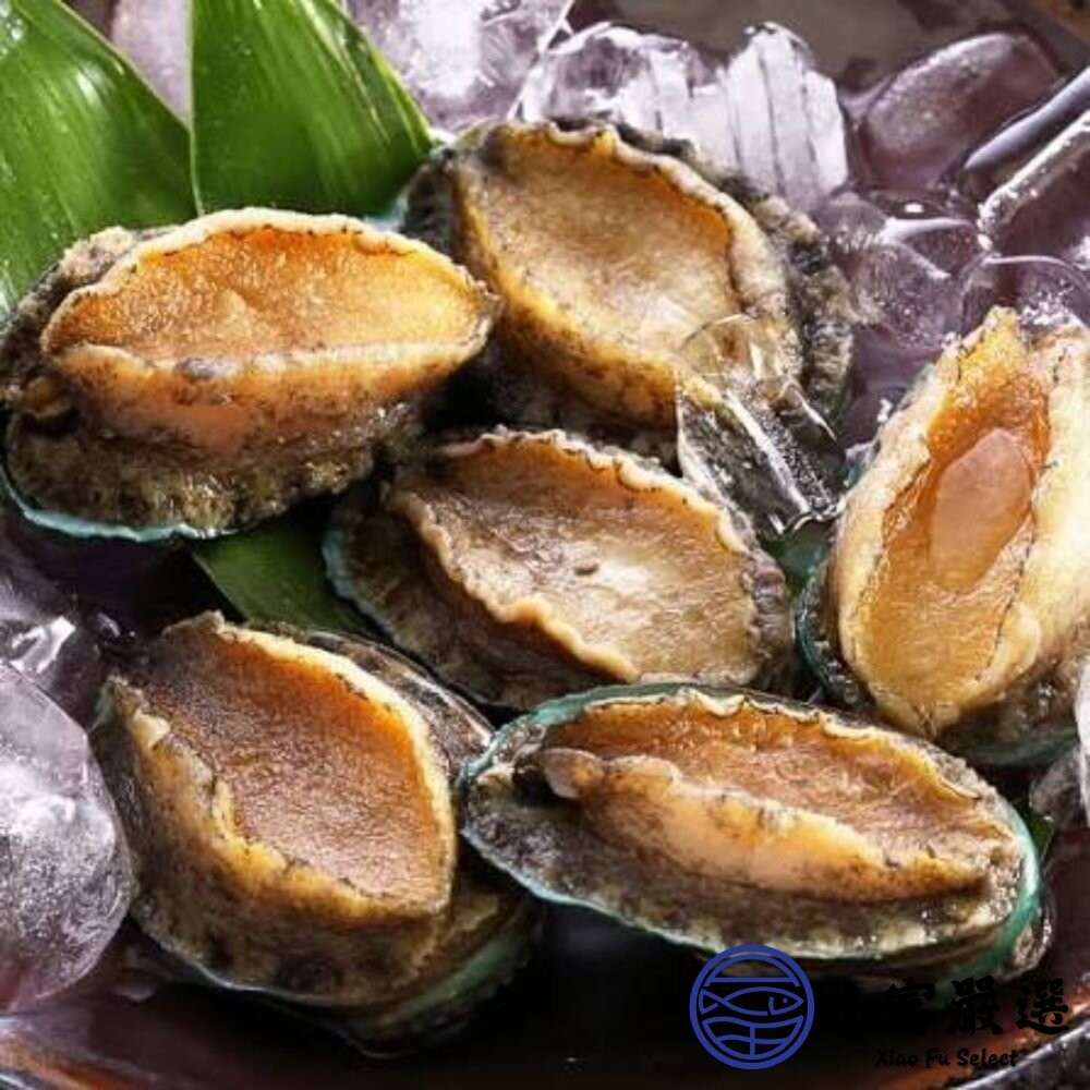 【小富嚴選】頂級帶殼鮑魚 有殼鮑魚 半殼鮑魚 帶殼鮑魚 (300g/包) 帶殼小鮑魚 冷盤 宴客 餐廳-細節圖4