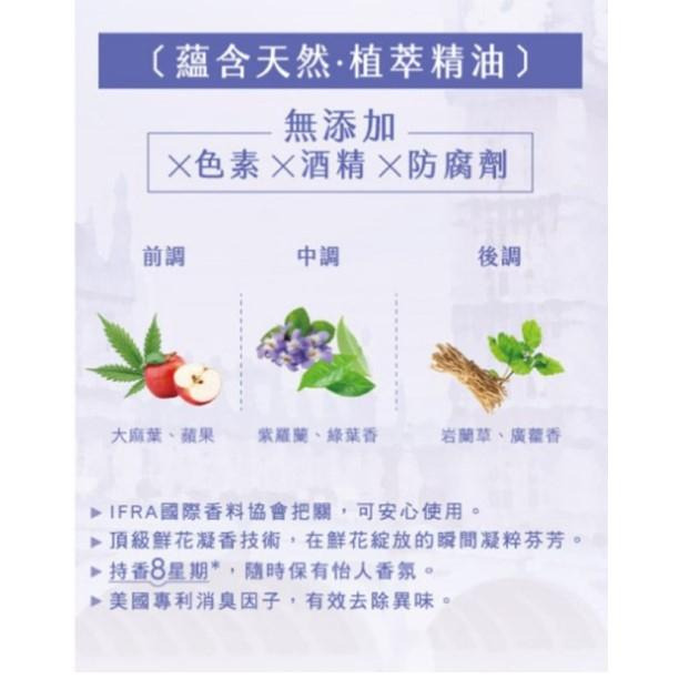 <附發票>SNUGGLE熊寶貝香氛室內擴香瓶100ml 香氛 室內擴香 薰香瓶 香氛精油蠟燭 小蒼蘭 白茶 鼠尾草 雪松-細節圖6