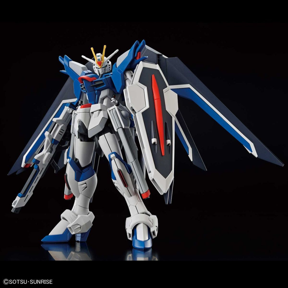 BANDAI 代理版 組裝模型 #243 SEED HG 1/144 振揚自由鋼彈-細節圖2