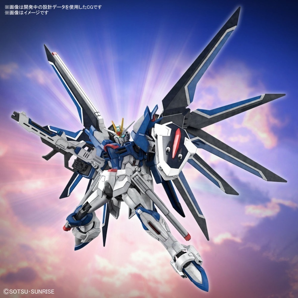 BANDAI 代理版 組裝模型 #243 SEED HG 1/144 振揚自由鋼彈-細節圖6