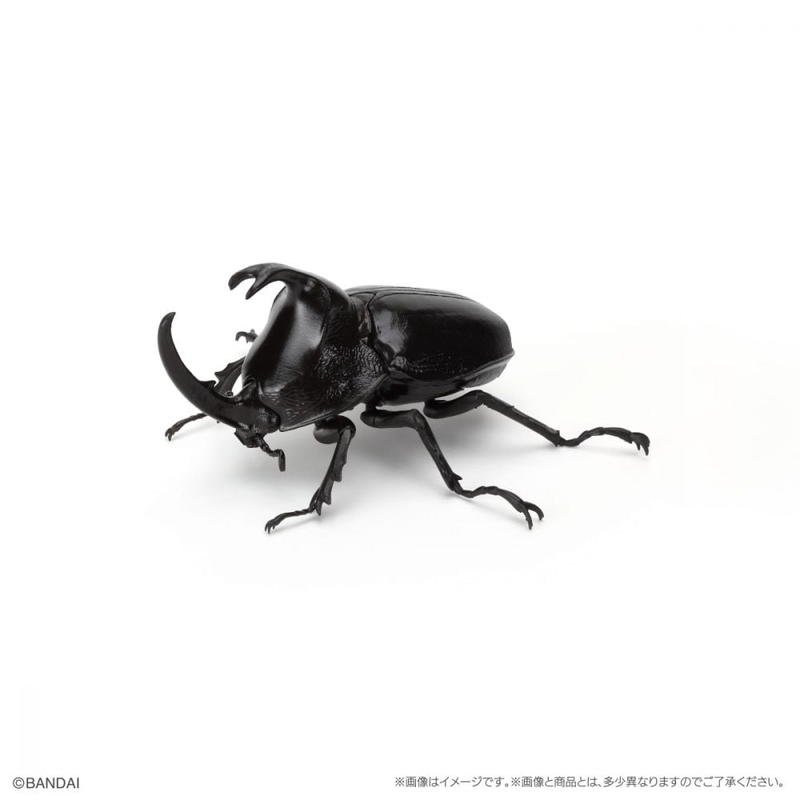 BANDAI 盒玩 生物大圖鑑 獨角仙09 附底座 全6種-細節圖4