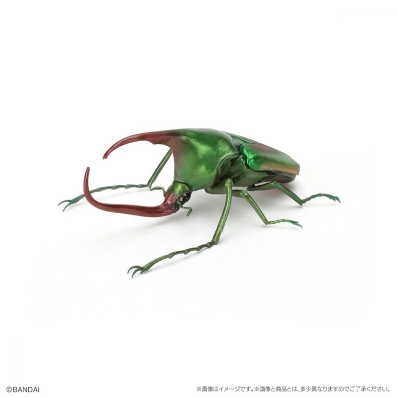 BANDAI 盒玩 生物大圖鑑 獨角仙09 附底座 全6種-細節圖5