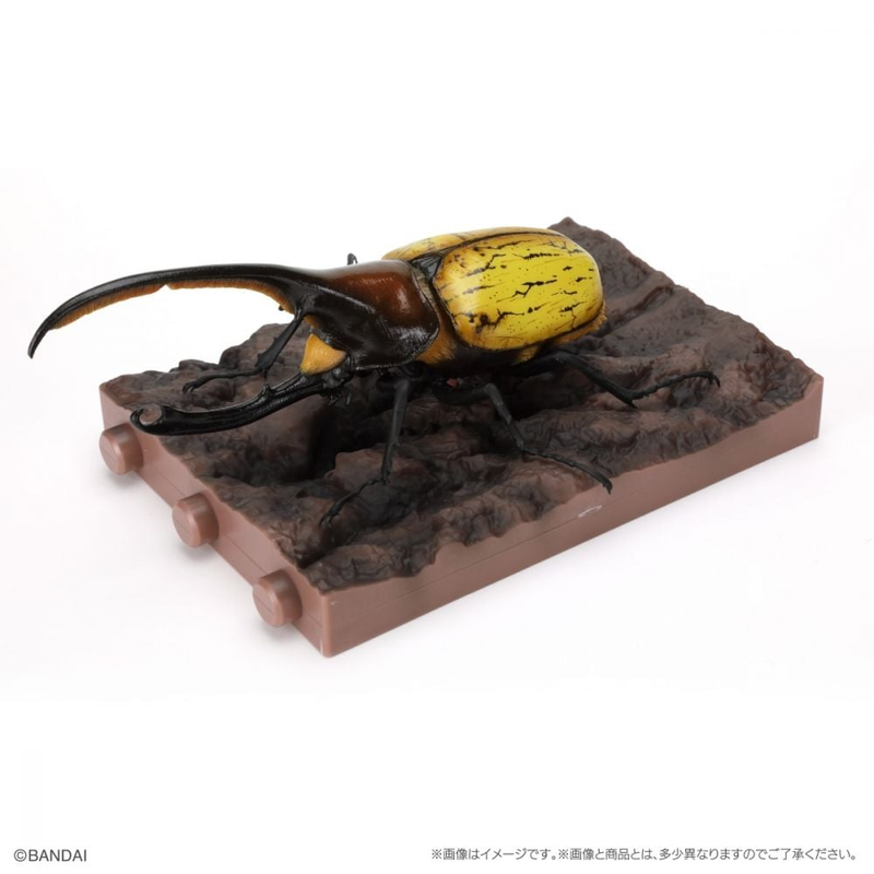 BANDAI 盒玩 生物大圖鑑 獨角仙09 附底座 全6種-細節圖7