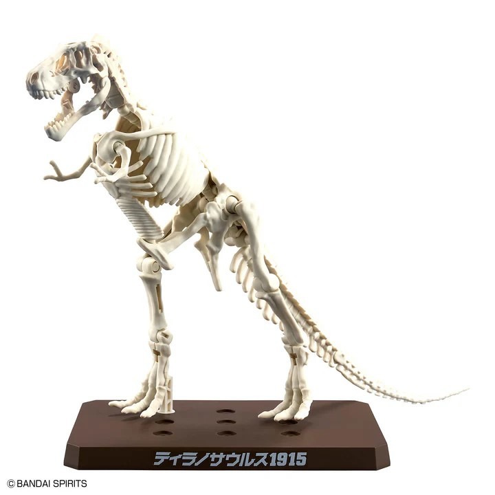 BANDAI 萬代 恐龍組裝模型 暴龍 1915-細節圖3