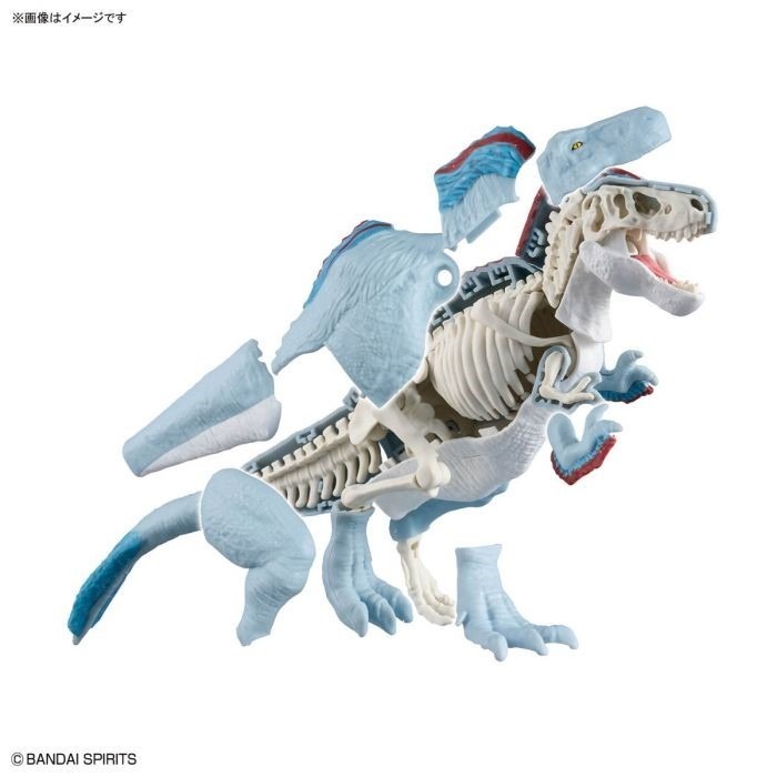 BANDAI 萬代 恐龍組裝模型 暴龍 降雪地區 Ver.-細節圖6