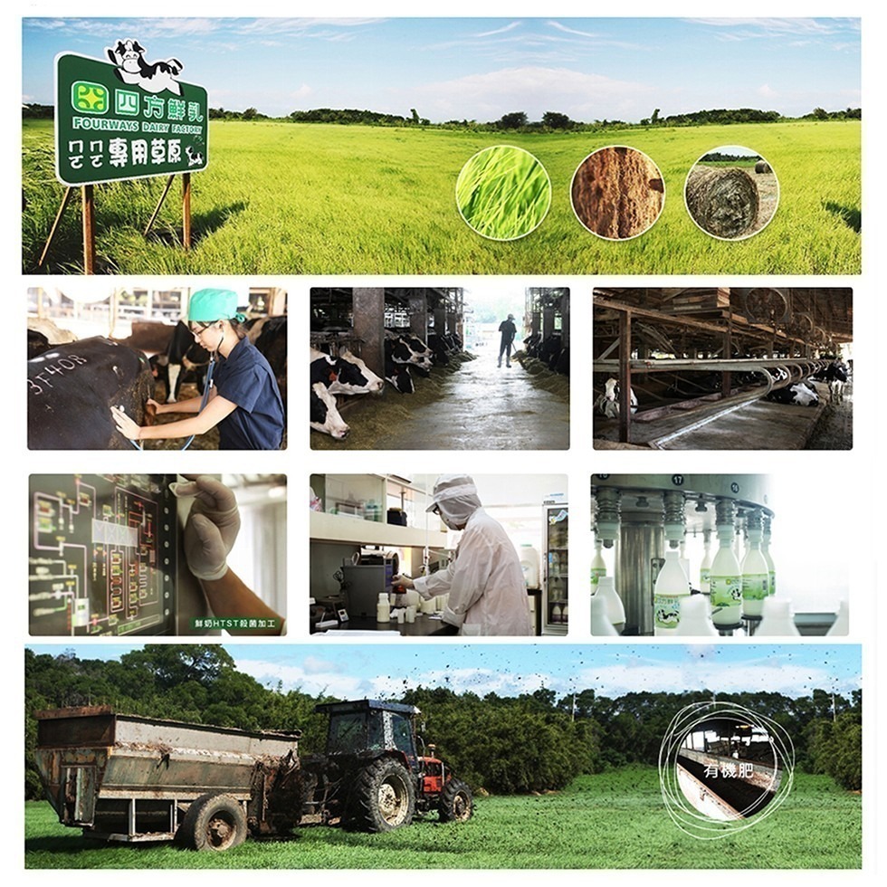 【四方鮮乳】鮮乳餅乾(160克±4.5%/盒)-細節圖7