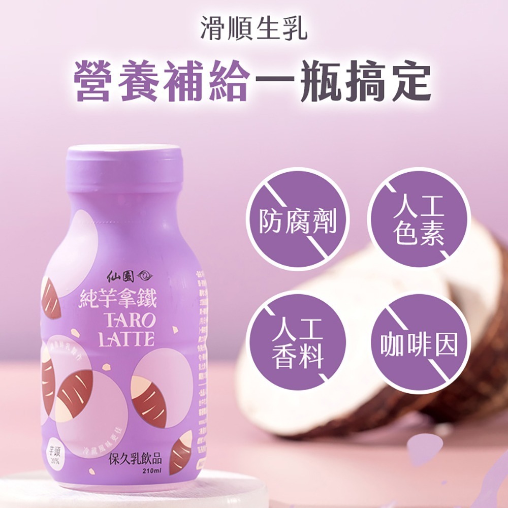 【仙園】純芋拿鐵保久乳禮盒｜國產鮮乳｜大甲芋頭｜保久乳｜厚生乳｜不含咖啡因｜伴手禮(210mlx12瓶裝-1組)-細節圖2